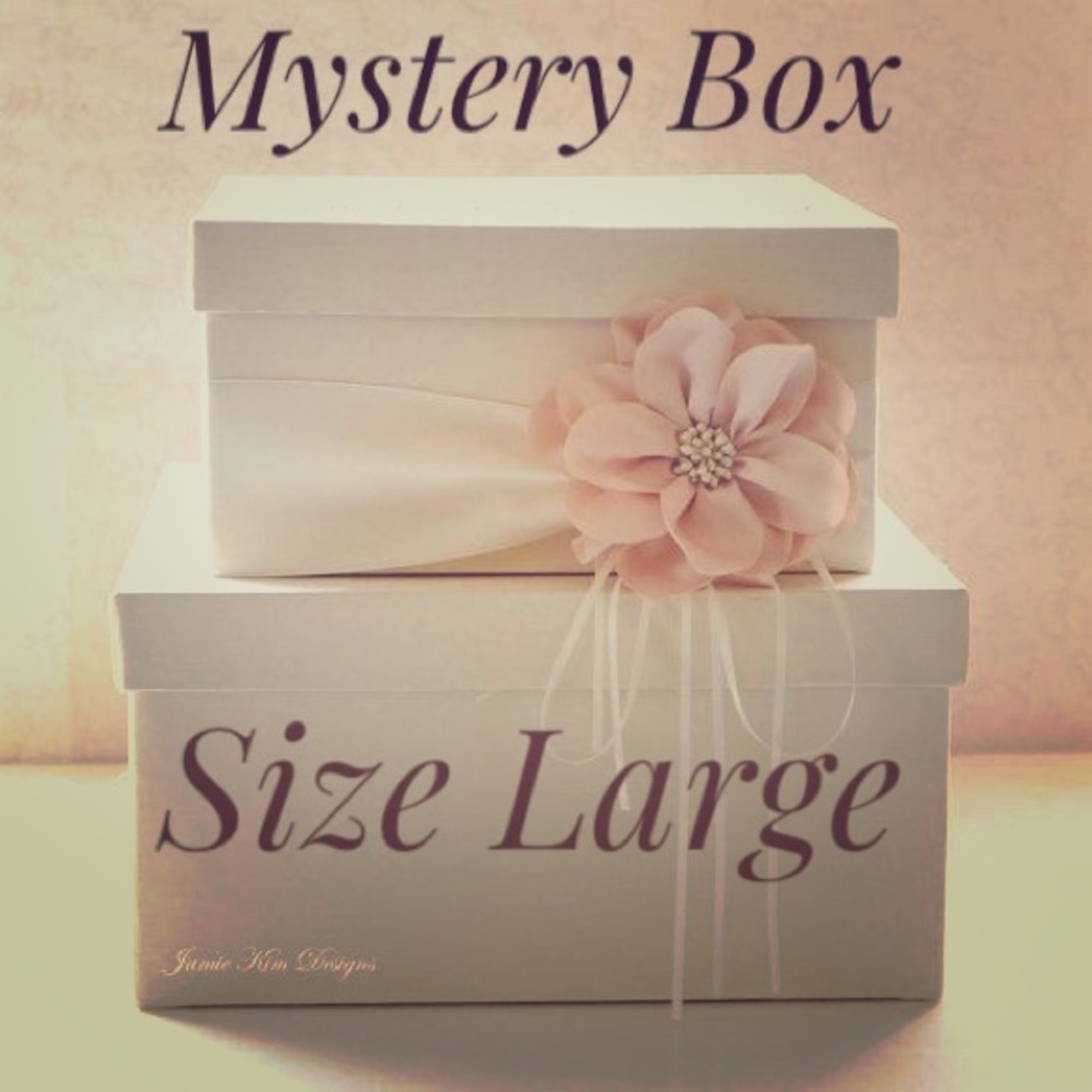 Mystery Box Fall/Winter Size Large 7 pieces